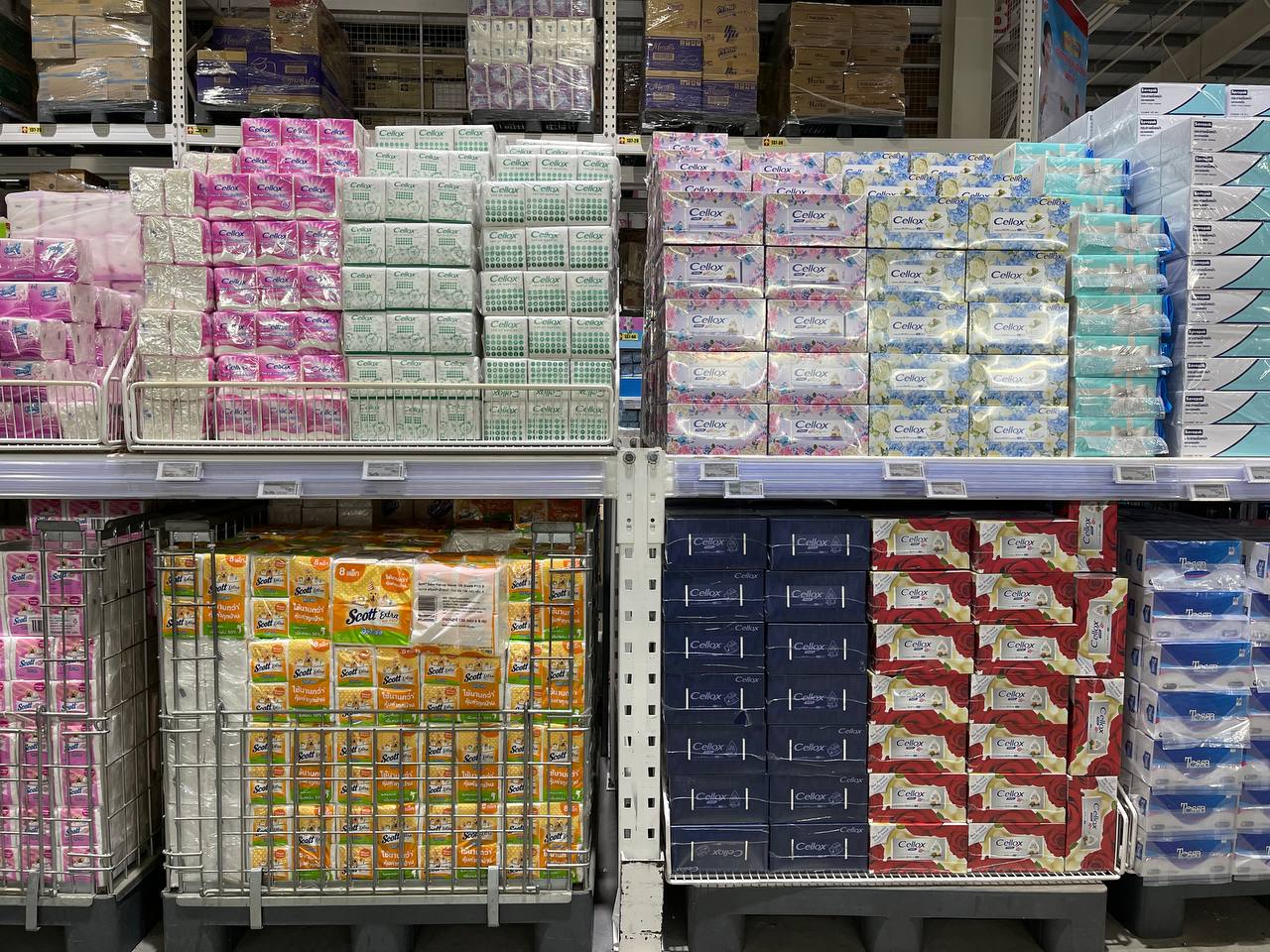 Modern Trade Distribution of Cellox and Hygienist Products by BJC at Makro Cambodia 12 Dec - Image 29